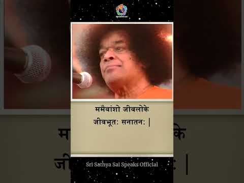 You are not separate from me | Sri Sathya Sai Speaks
