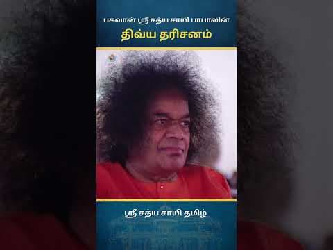 சாயி திவ்ய தரிசனம் | Sai Divine Darshan