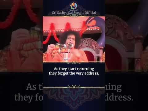 Don't let the world enter your pilgrimage | Sri Sathya Sai Speaks
