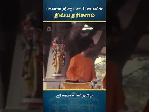 சாயி திவ்ய தரிசனம் | Sai Divine Darshan