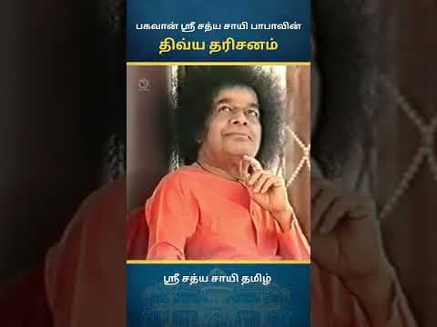 சாயி திவ்ய தரிசனம் | Sai Divine Darshan
