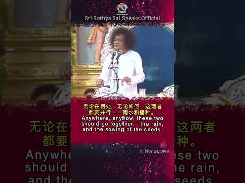 这两者要相辅相成。这两者是什么？| These two should go together. What are those two? | Sri Sathya Sai Speaks #Shorts