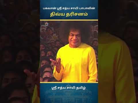 சாயி திவ்ய தரிசனம் | Sai Divine Darshan