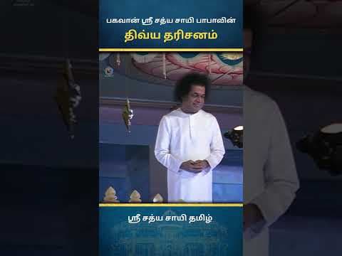 சாயி திவ்ய தரிசனம் | Sai Divine Darshan